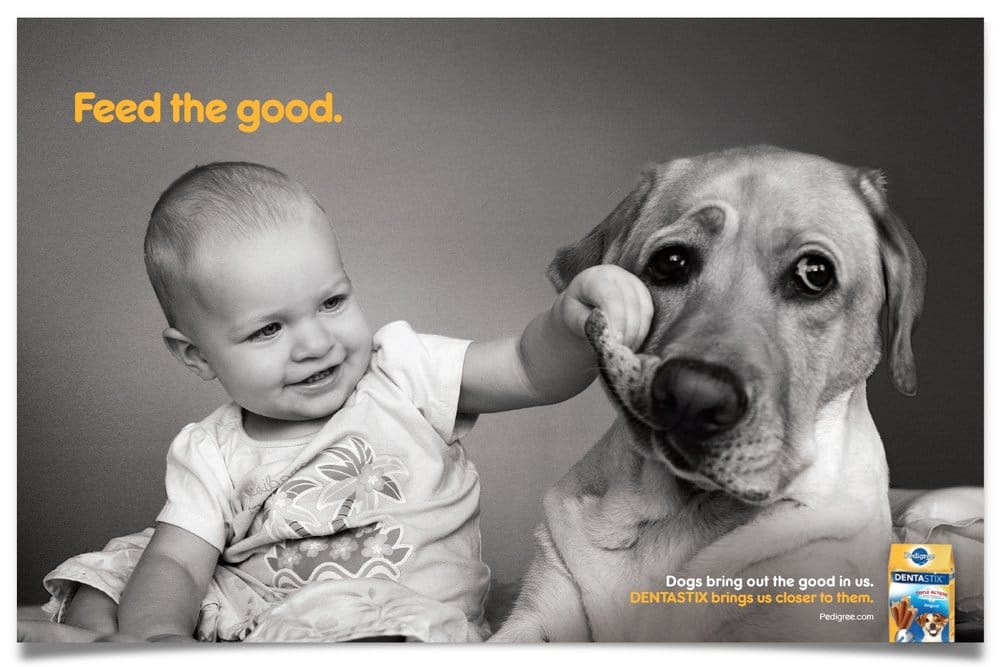 Pedigree Feed the Good ad promoting dog adoption and responsible pet ownership