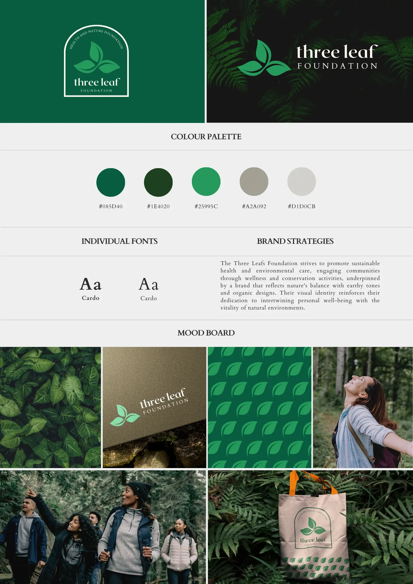 A branding concept by Jack Willoughby for The Leaf Foundation.