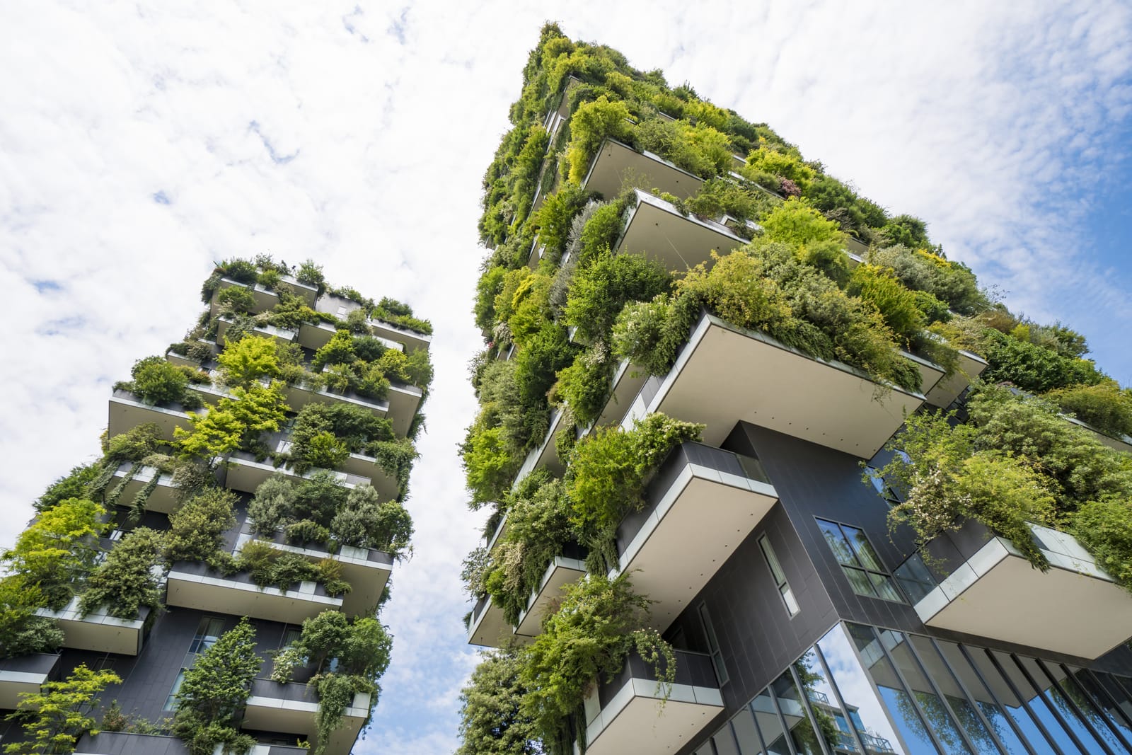 Top Marketing Trends For 2021 - Sustainability