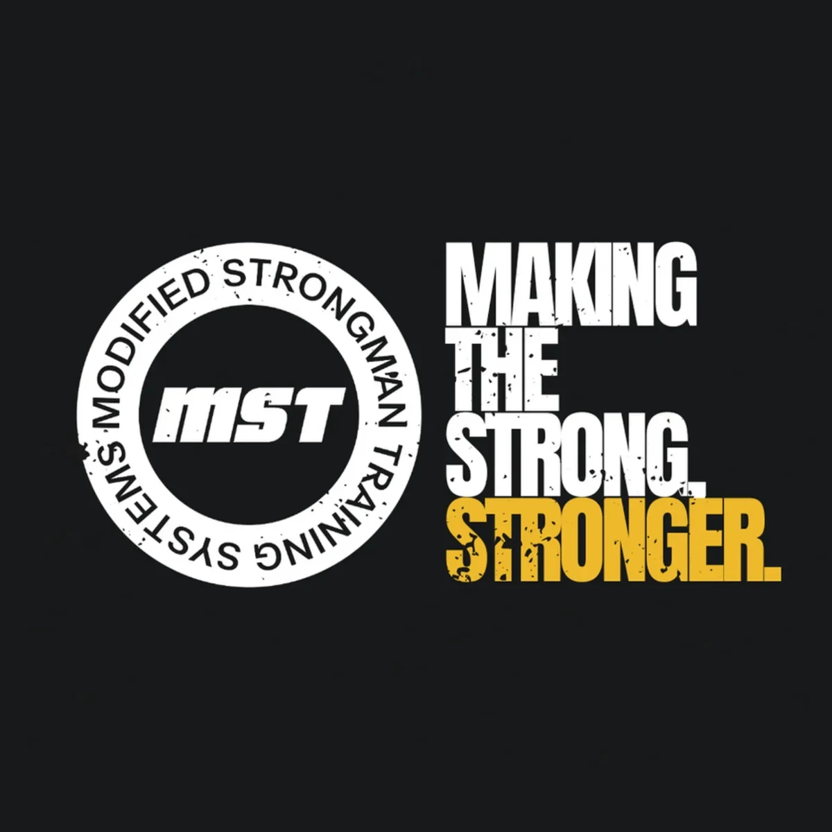 MST Systems badge with Making the strong Stronger brand graphic